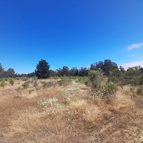 Parcela con agua, luz, Algarrobo, Casa Blanca (74772)