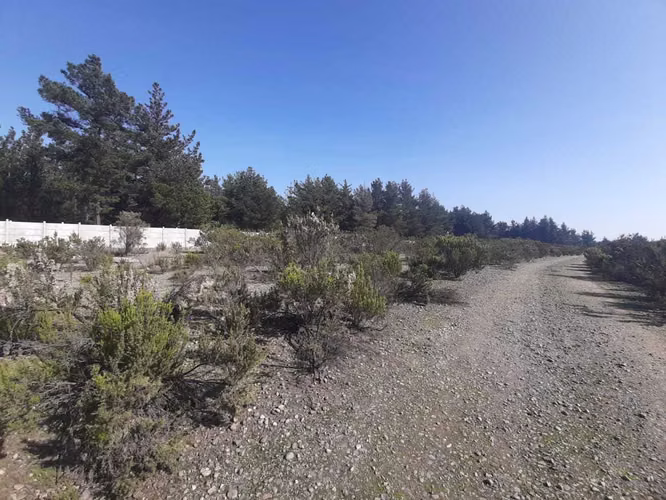 Oportunidad: Gran Terreno Industrial (74615)