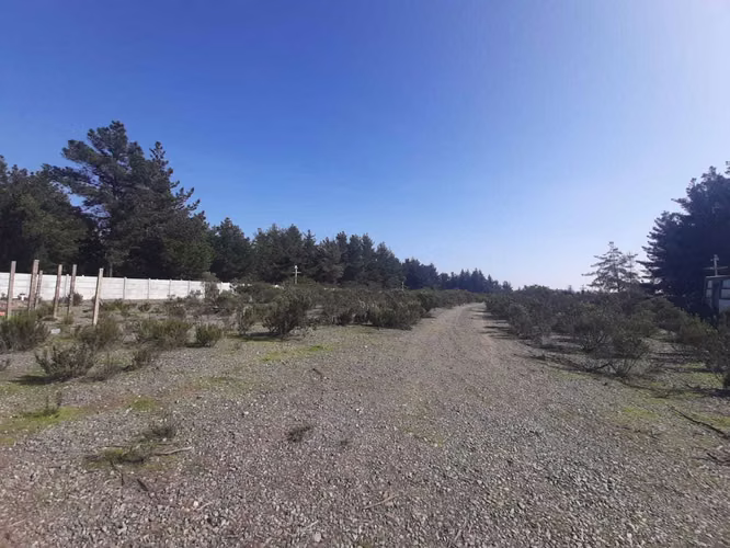 Oportunidad: Gran Terreno Industrial (74615)