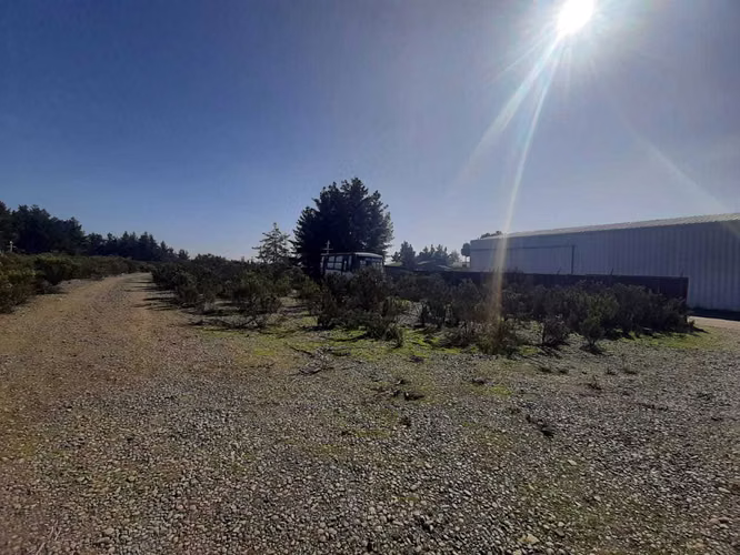 Oportunidad: Gran Terreno Industrial (74615)