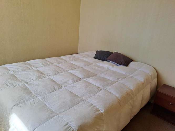 Se arriendo hermoso departamento  (74500) - Imagen 3