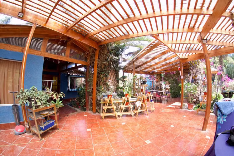 Pan de Azúcar // Hacienda Venus (74239)