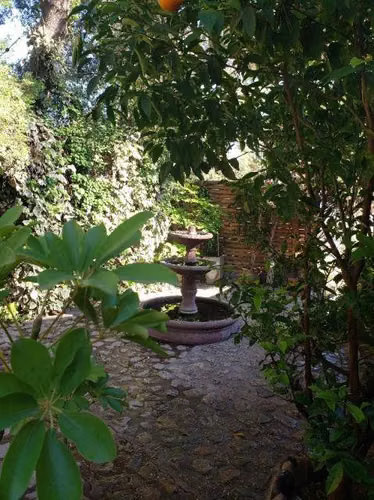 Aculeo  (74049)