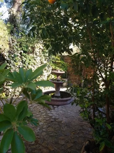 ACULEO  (74015)