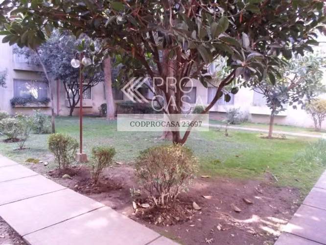 Dublé Almeyda (73981) - Imagen 4