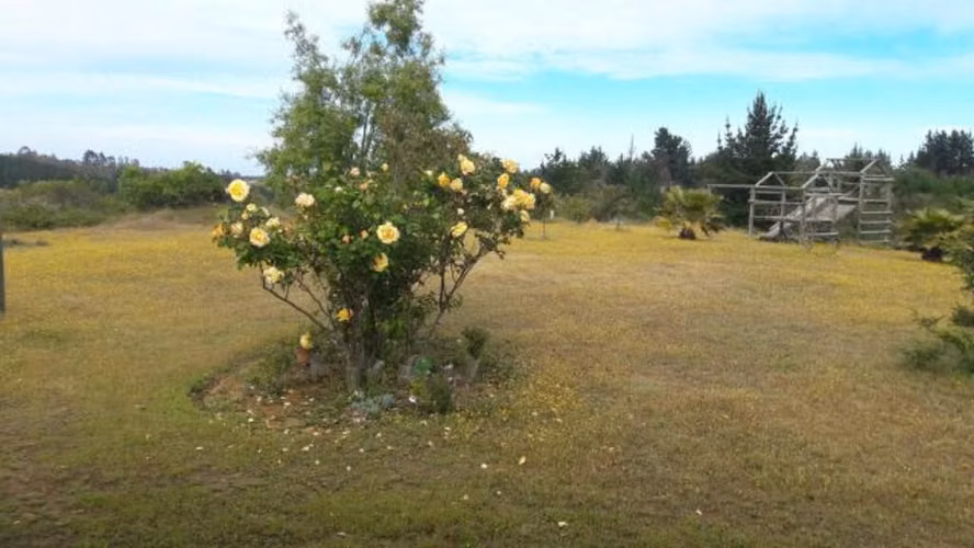 La peña  (73976) - Imagen 6