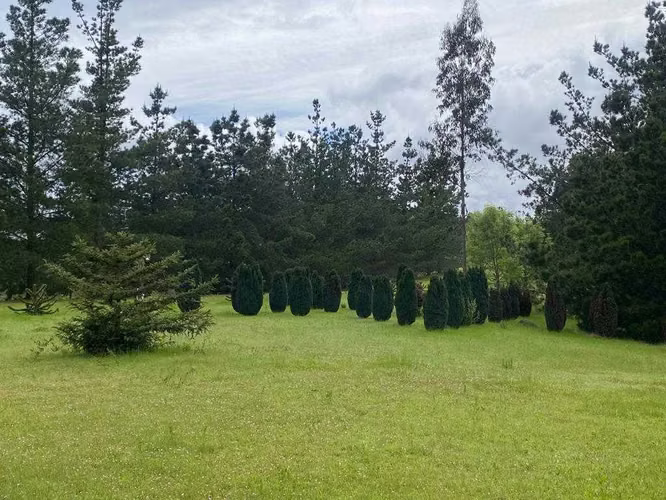 La peña  (73976) - Imagen 24