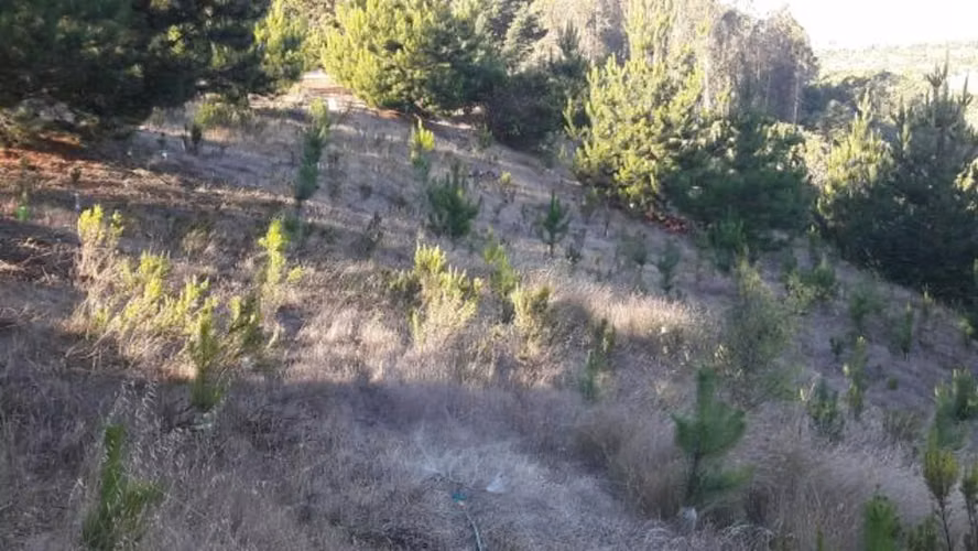 La peña  (73976) - Imagen 4