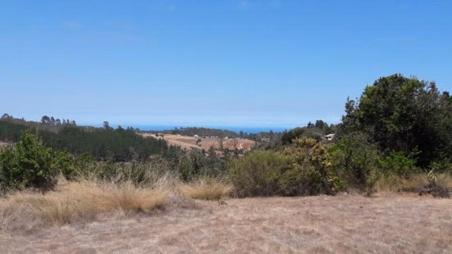 La peña  (73976) - Imagen 7