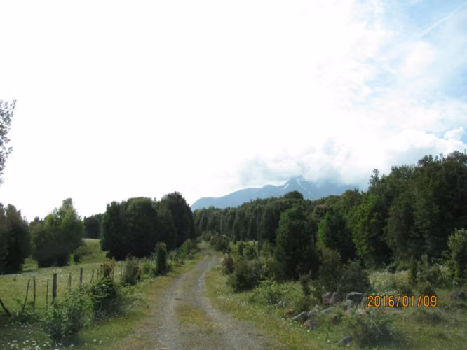 FUNDO CALBUCO  (73972)
