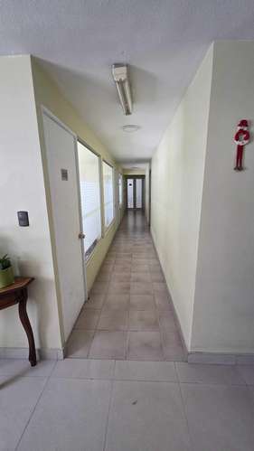 Rosas (73961) - Imagen 16