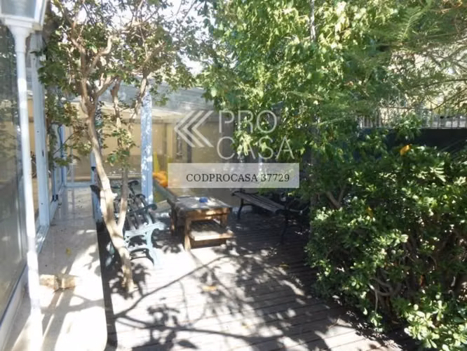 Eloisa Lemus (73955) - Imagen 7