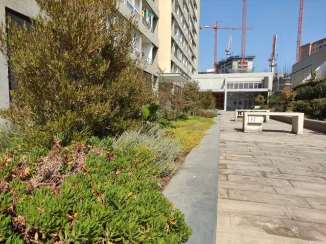 Avenida Vicuña Mackenna Poniente (73943)