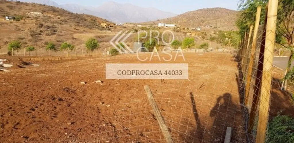 Hacienda Chacabuco (73915)
