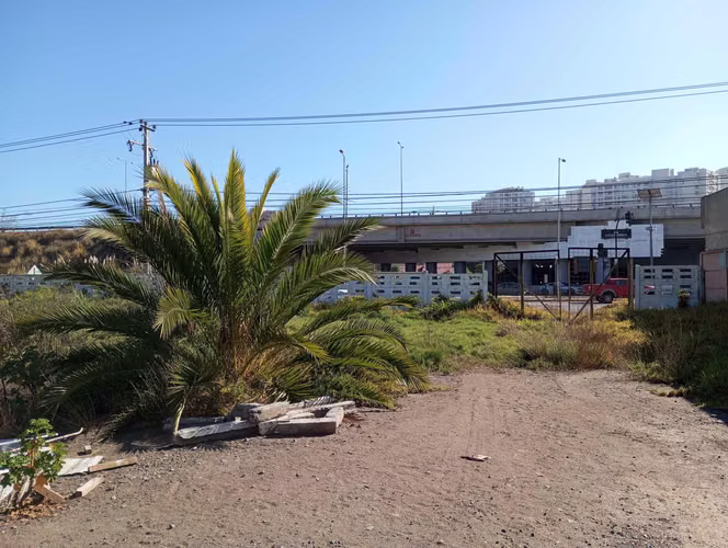 Coquimbo terrenos en plena Ruta5 en La Serena (73892)