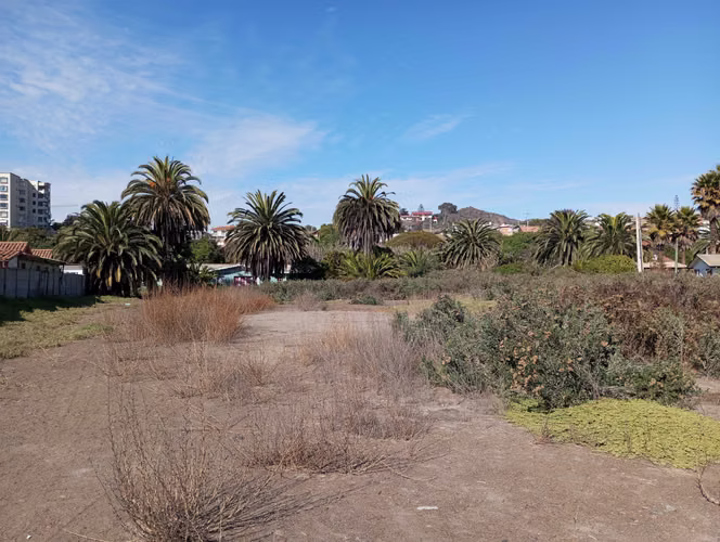 Coquimbo terrenos en plena Ruta5 en La Serena (73892)