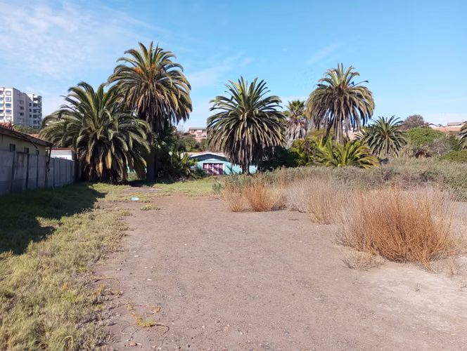 Coquimbo, 6.150 m2 de terreno (73892)