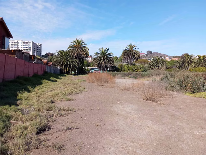 Coquimbo terrenos en plena Ruta5 en La Serena (73892)