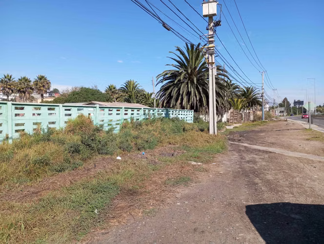 Coquimbo terrenos en plena Ruta5 en La Serena (73892)