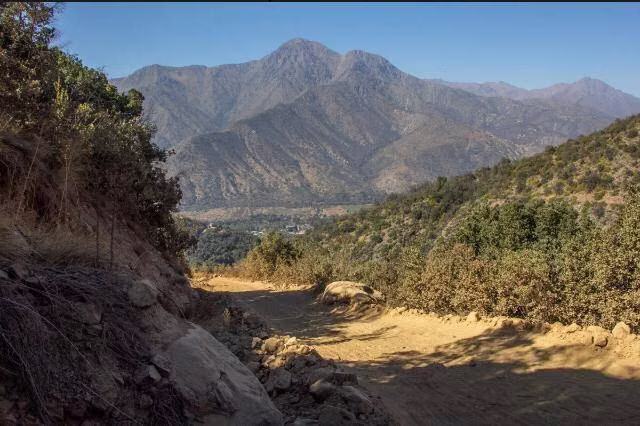 EL CANELO, CAMINO EL VOLCAN, (73886)