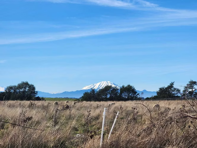 1 HECTARIA EN LONCOTORO VISTA A LOS VOLCANES (73806) - Imagen 11