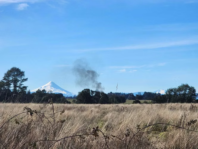 1 HECTARIA EN LONCOTORO VISTA A LOS VOLCANES (73806) - Imagen 6