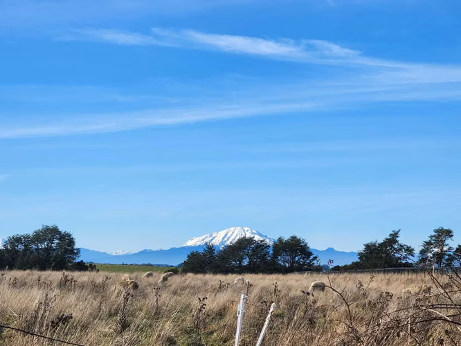1 HECTARIA EN LONCOTORO VISTA A LOS VOLCANES (73806) - Imagen 5