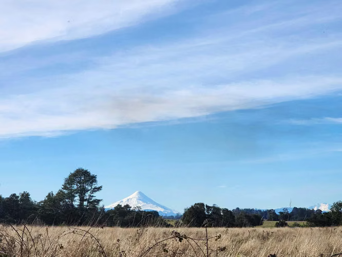1 HECTARIA EN LONCOTORO VISTA A LOS VOLCANES (73806) - Imagen 3