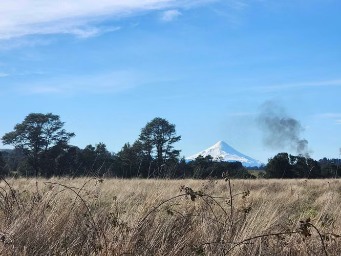 1 HECTARIA EN LONCOTORO VISTA A LOS VOLCANES (73806) - Imagen 12