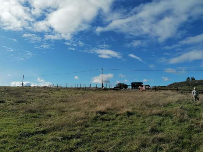 Parcela en Pichilaguna, Llanquihue (73805) - Imagen 12