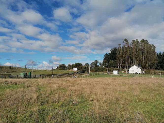 Parcela en Pichilaguna, Llanquihue (73805) - Imagen 8