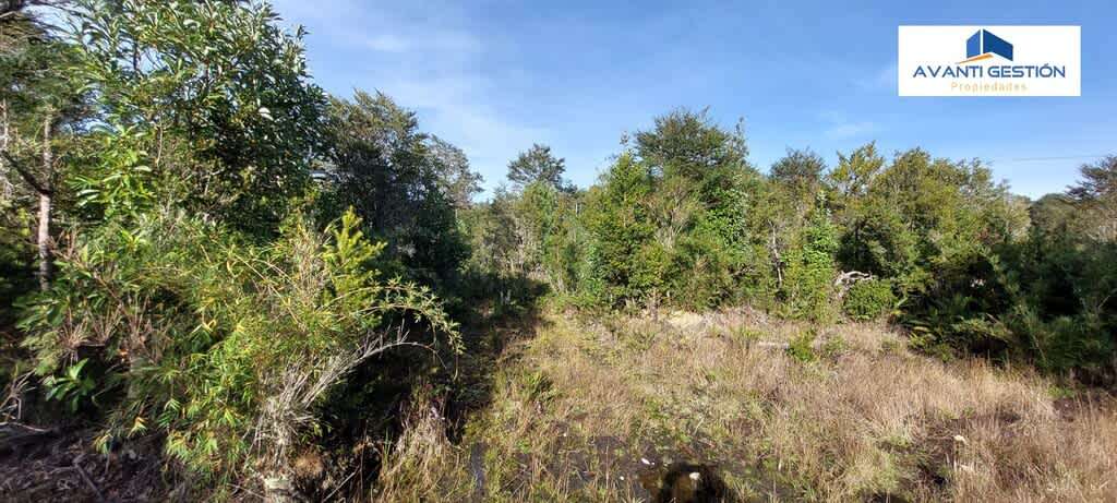 PARCELA EN  MONTE VERDE (75404) - Imagen 8