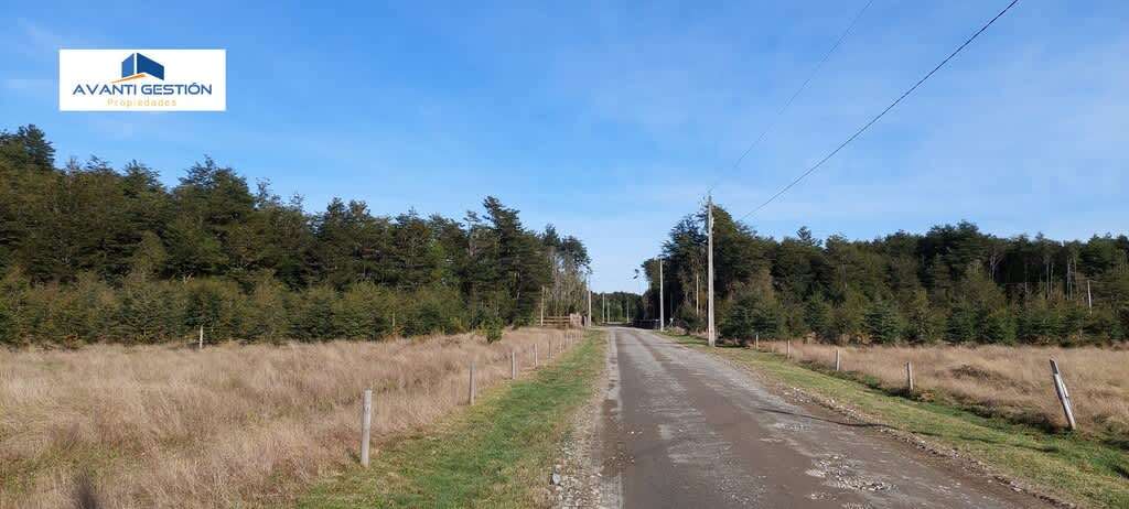 PARCELA EN  MONTE VERDE (75404) - Imagen 9