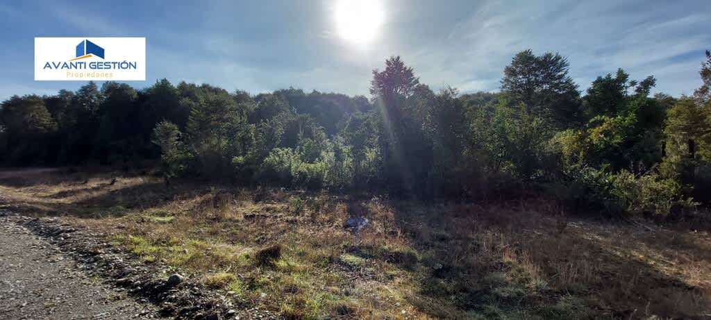 PARCELA EN  MONTE VERDE (75404) - Imagen 4