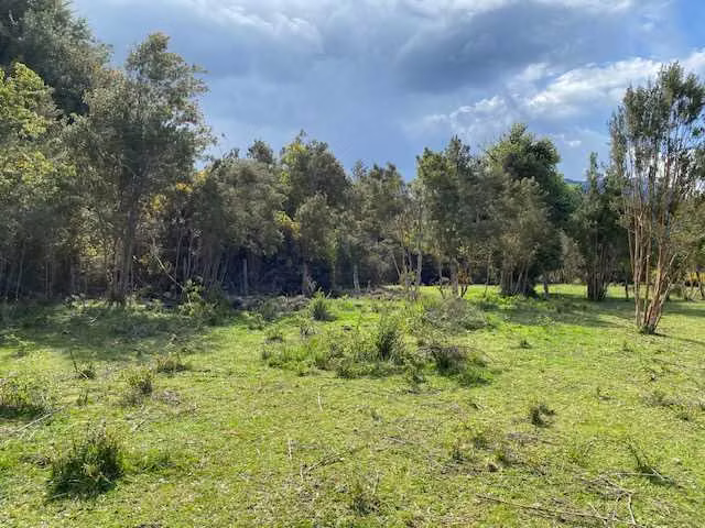 Venta parcela en Puelo. (75308)