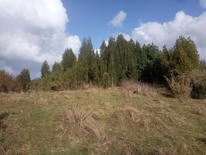 PARCELA Bosques de Coipomo
