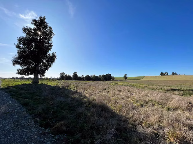 Lindas parcelas a 15 minutos de Puerto Varas (75552) - Imagen 9