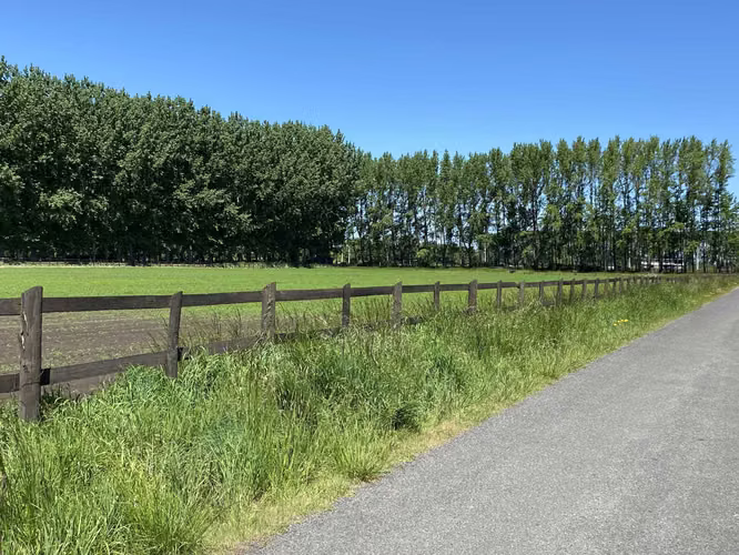 Se Vende en Haras Santa Amelia  (75532)
