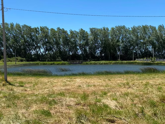 Se Vende en Haras Santa Amelia  (75532)