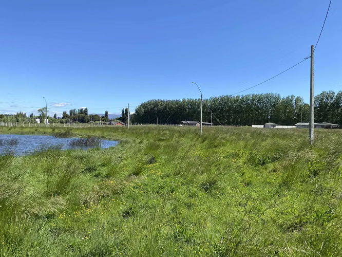 Se Vende en Haras Santa Amelia  (75532)