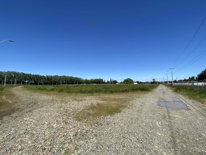 Se Vende en Haras Santa Amelia  (75532)