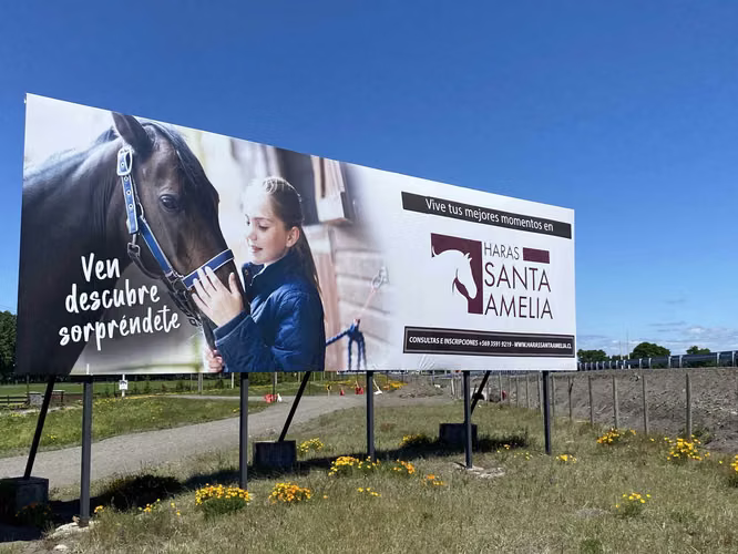 Se Vende en Haras Santa Amelia  (75532)