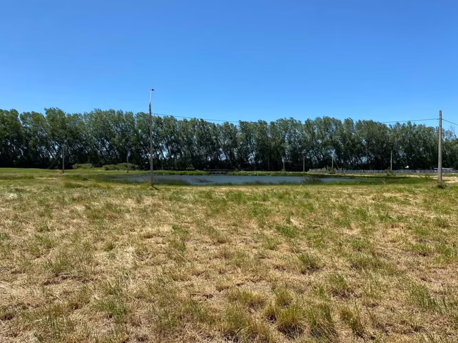 Se Vende en Haras Santa Amelia  (75532)