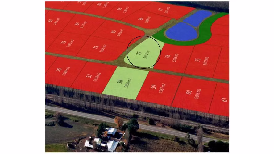 Se Vende en Haras Santa Amelia  (75532)