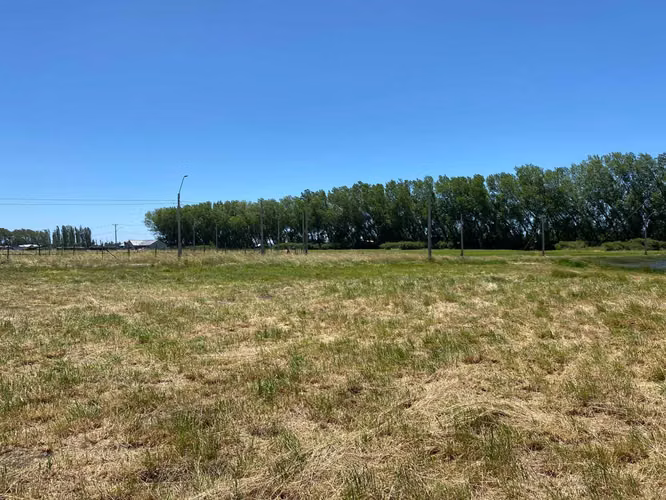 Se Vende en Haras Santa Amelia  (75532)