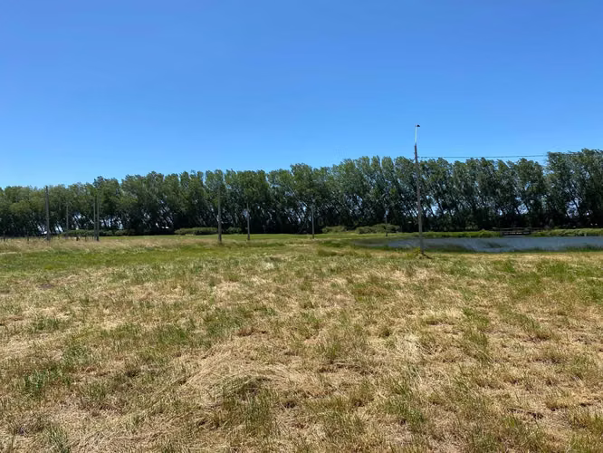 Se Vende en Haras Santa Amelia  (75532)