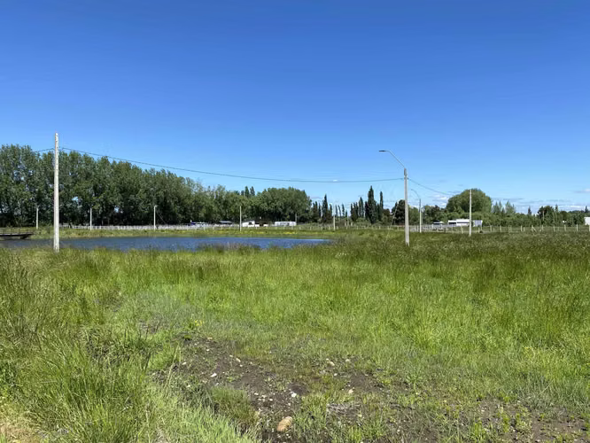 Se Vende en Haras Santa Amelia  (75532)