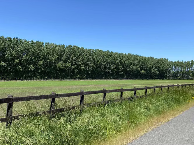 Se Vende en Haras Santa Amelia  (75532)