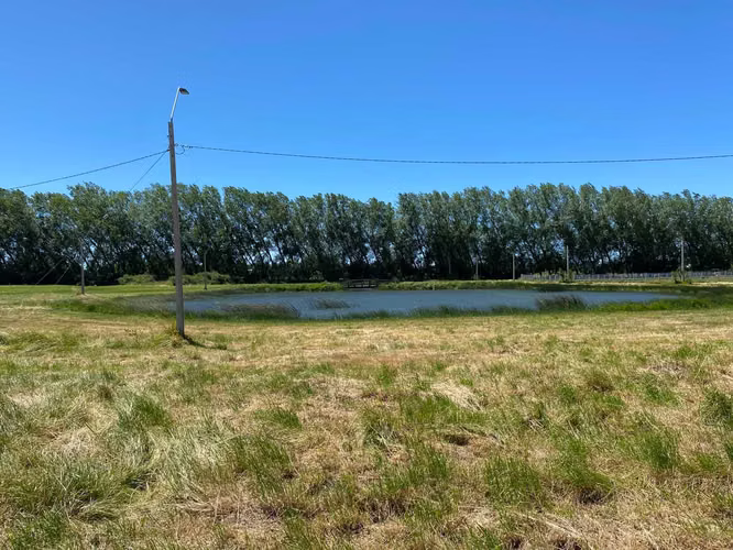 Se Vende en Haras Santa Amelia  (75532)