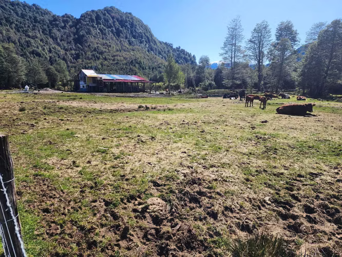 KM 20 AYSEN-LAGO RIESCO (76136)
